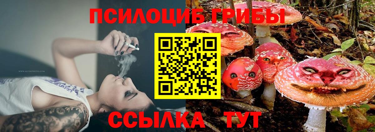 Псилоцибиновые грибы ЛСД Лосино-Петровский